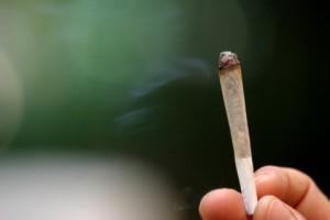 21-5-2012-12-9-cannabis_478